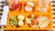 School lunch tray with portioned food