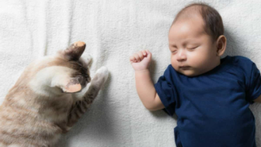 What can mum and dad do if your baby's watery stools are a sign of diarrhoea?