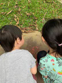 Spending more time outdoor together as a family such as visiting the park