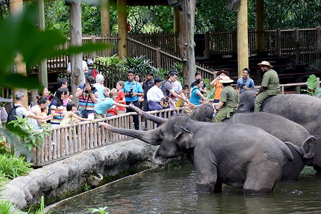 Give your kids a chance to play and learn by taking them to the zoo.