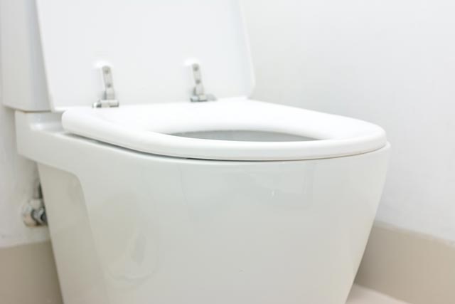 Closing Toilet Lids Before Flushing May Not Prevent Spread Of Viruses