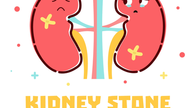 dreamstime_kidney_79490041.jpg