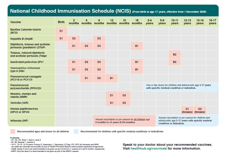 Baby Vaccines at 5 to 6 Months