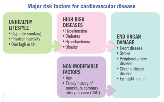 risk factors for cardio disease