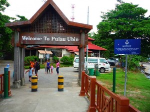 where to go during school holidays: Pulau Ubin