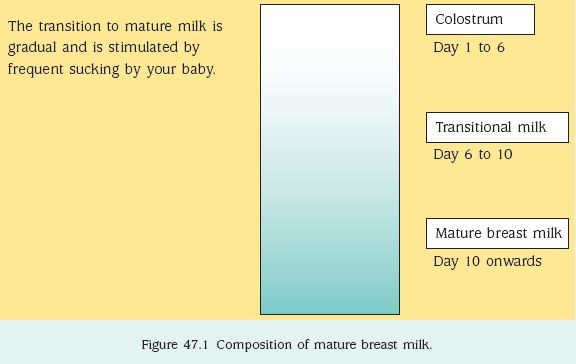 Milk Guide - All boobs are good boobs babies don't discriminate size or  shape! 🤱