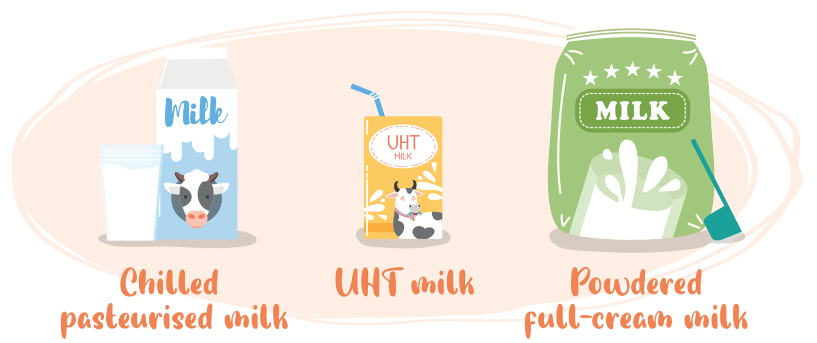 Types of plain full cream cow’s milk