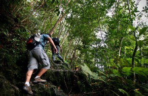 Hiking in the great outdoors