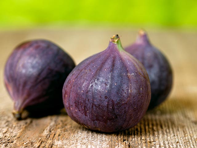 picture of a purple onion